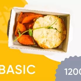 BASIC 1200