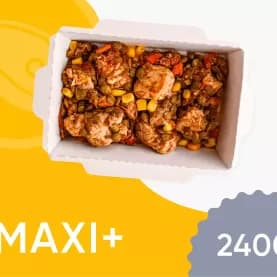 MAXI+ 2400
